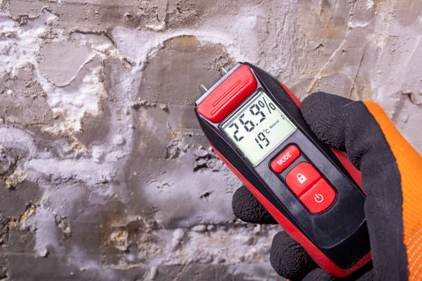 Best Office Mold Removal Services  in Grayson, GA