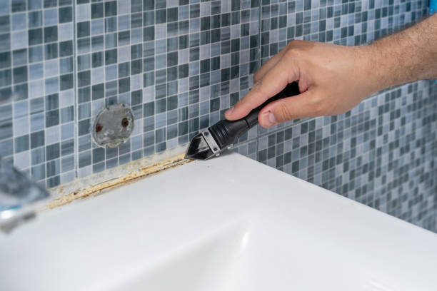 Best Professional Mold Removal  in Grayson, GA