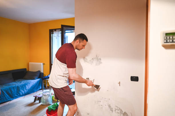 Best Commercial Mold Removal  in Grayson, GA