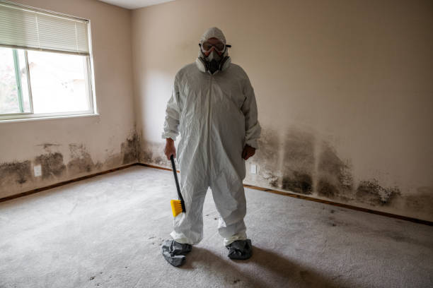 Mold Testing and Removal in Grayson, GA