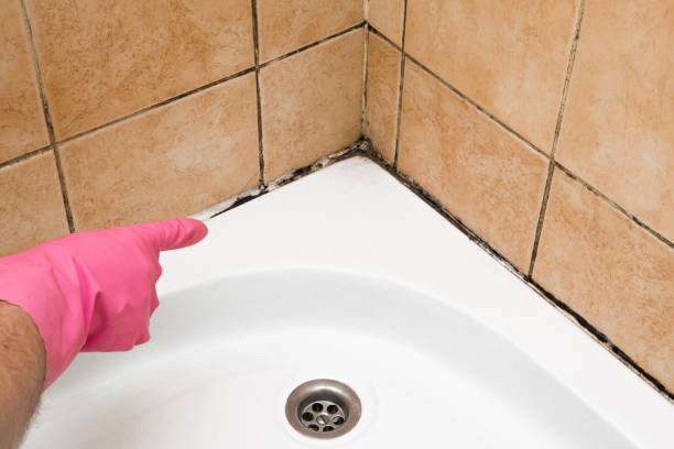 Best Mold Damage Repair  in Grayson, GA